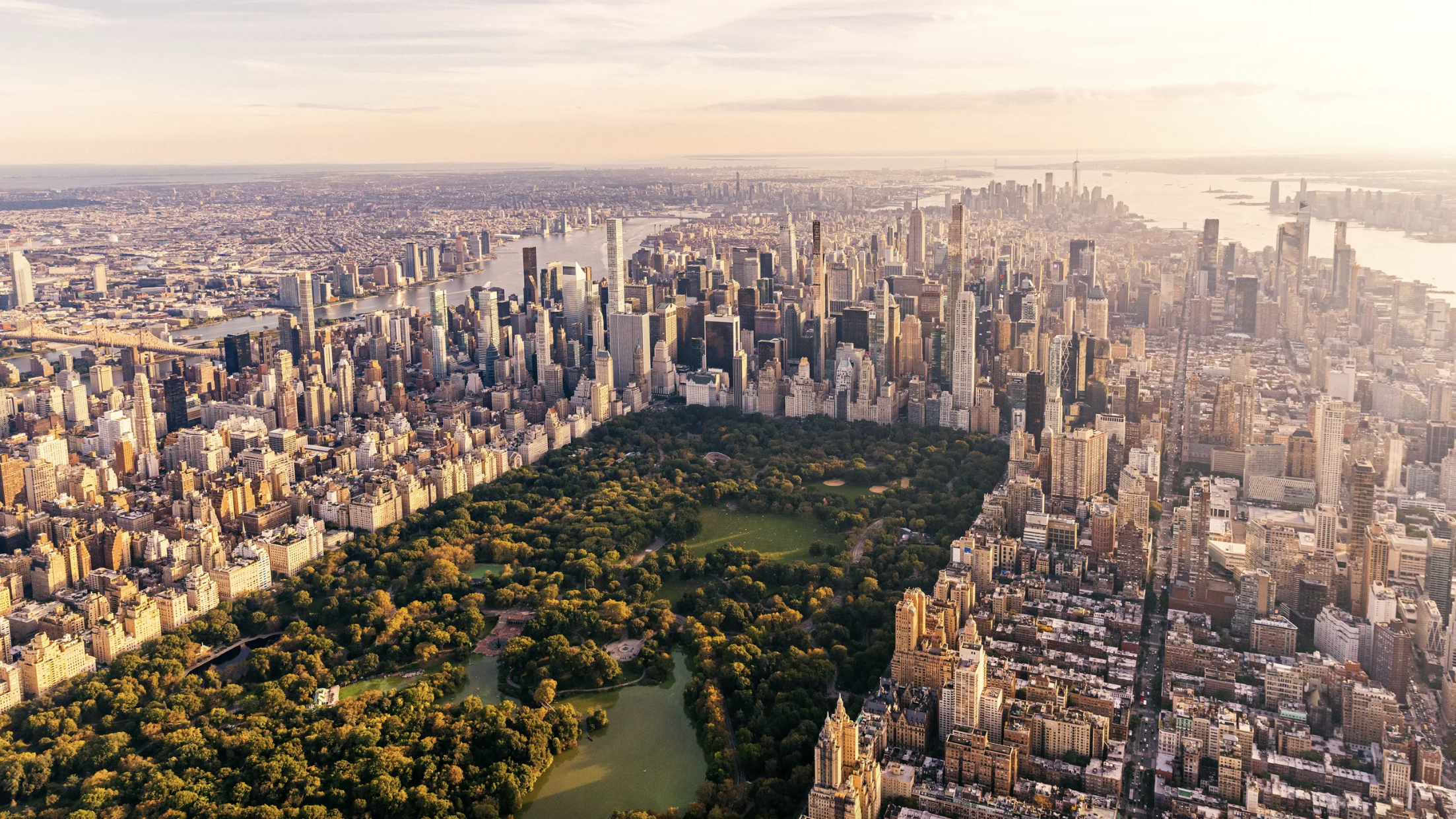 {September 2024} Demand Getting Stronger | Wonderstreet {September 2024} Demand Getting Stronger — Wonderstreet